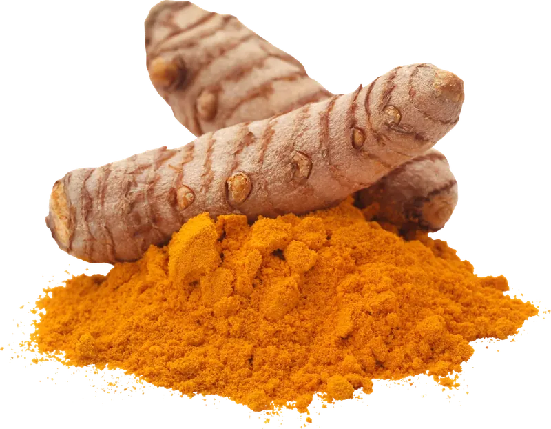 Raíz de cúrcuma y cúrcuma en polvo